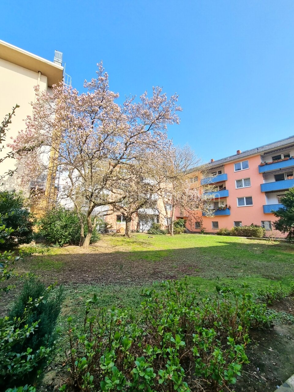 begrünter Innehof begrünter Innehof