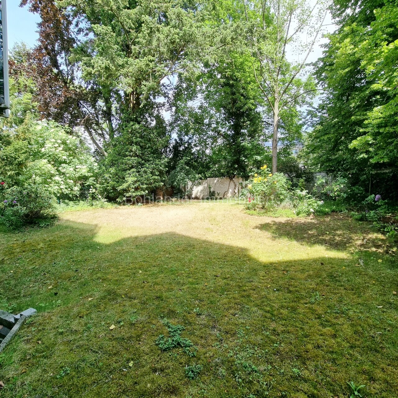 eigener Garten 1 eigener Garten 1