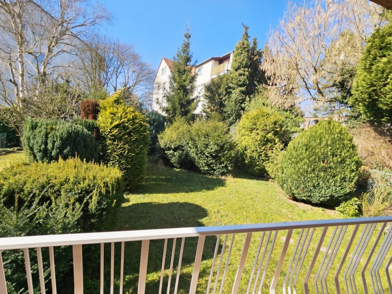 Blick in den Garten Blick in den Garten